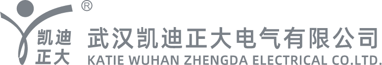 武漢凱迪正（zhèng）大公司