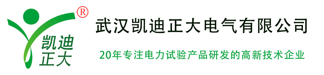 武汉凯迪正（zhèng）大